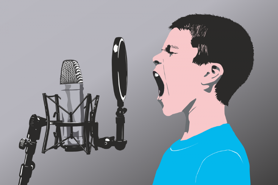 If you Google ‘voice coach’, you’re in for a confusing surprise